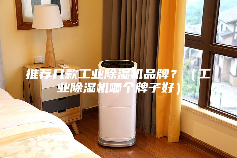 推薦幾款工業除濕機品牌？（工業除濕機哪個牌子好）