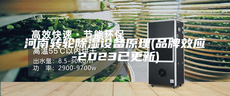 河南轉輪除濕設備原理(品牌效應-2023已更新)