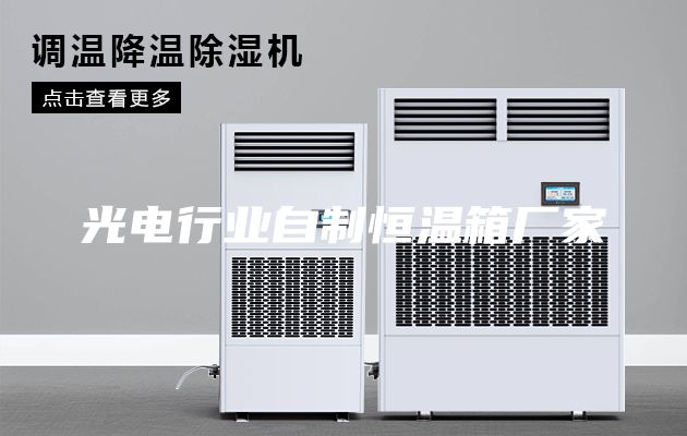 光電行業自制恒溫箱廠家